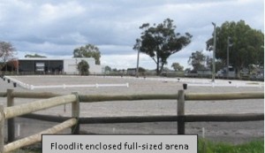 Arena Pic 2